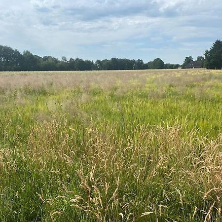 Kunst Und Natur In Worpswede Appartement Buitenkant foto