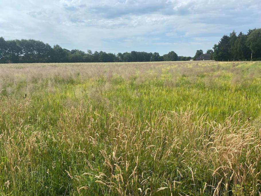 Kunst Und Natur In Worpswede Appartement Buitenkant foto