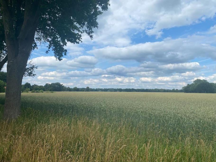Kunst Und Natur In Worpswede Appartement Buitenkant foto